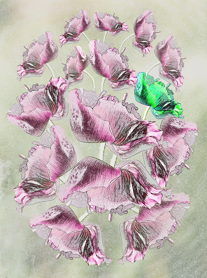 Poppy Bouquet - Ann Laverock